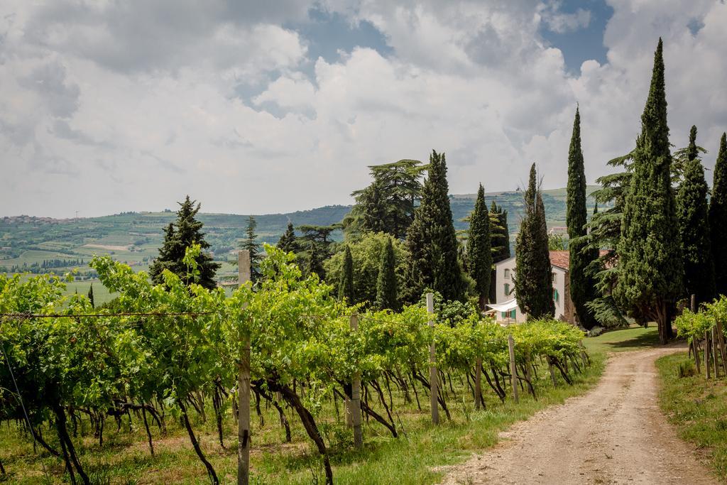 Massimago Wine Relais Villa Mezzane di Sotto Dış mekan fotoğraf