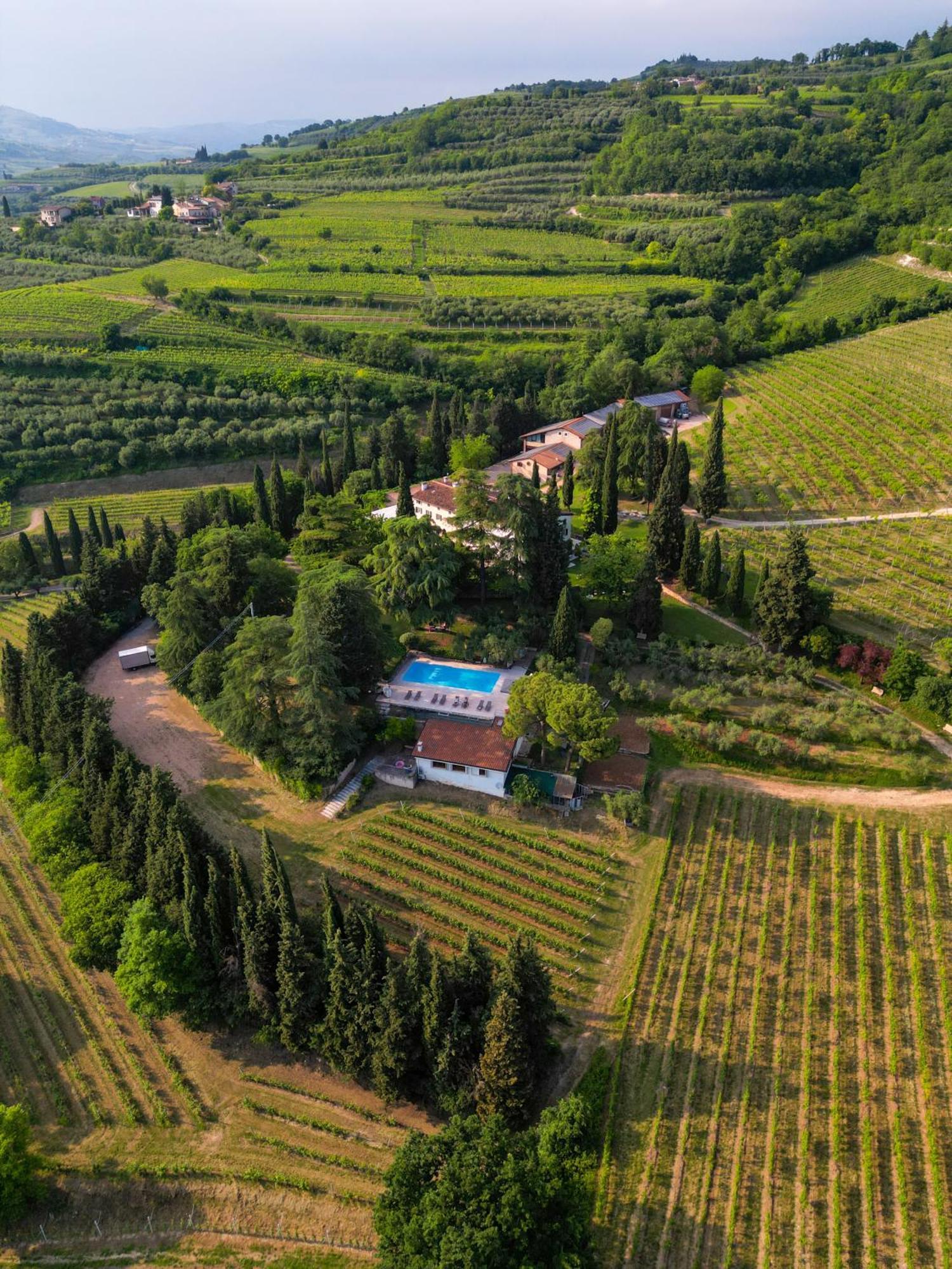 Massimago Wine Relais Villa Mezzane di Sotto Dış mekan fotoğraf