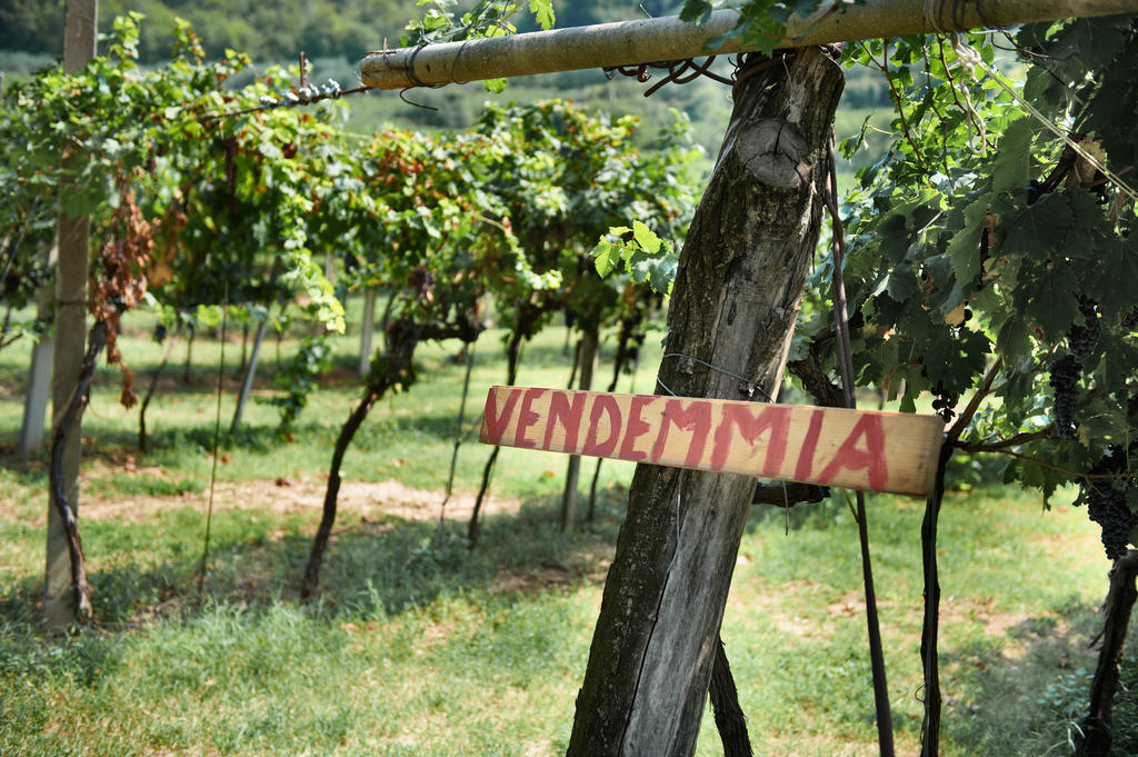 Massimago Wine Relais Villa Mezzane di Sotto Dış mekan fotoğraf