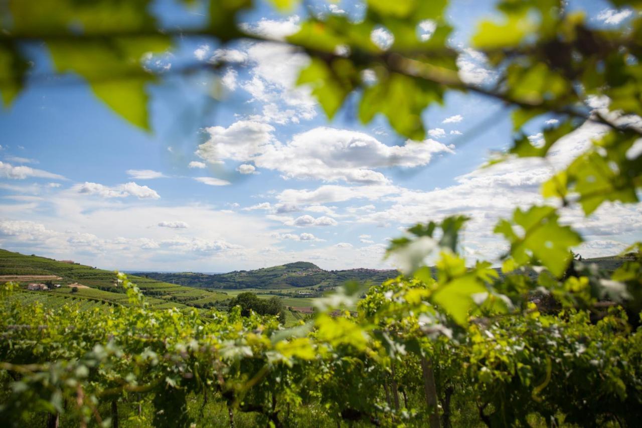 Massimago Wine Relais Villa Mezzane di Sotto Dış mekan fotoğraf